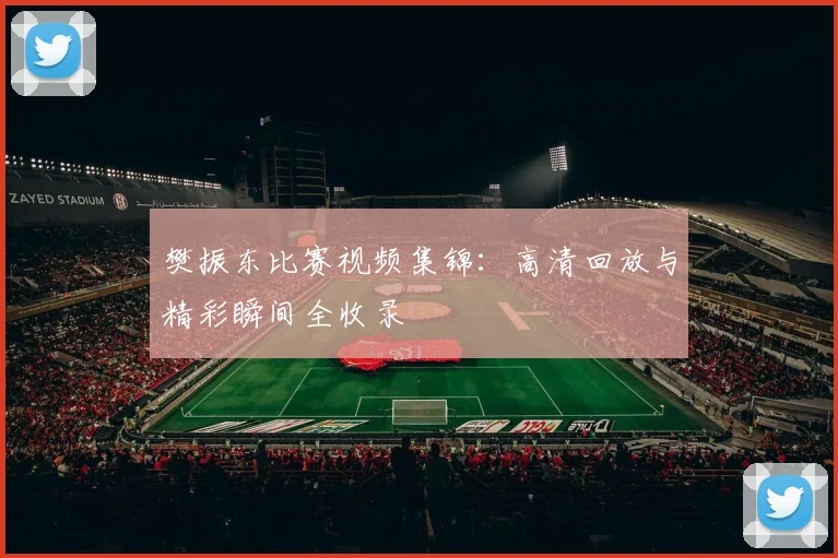 樊振东比赛视频集锦：高清回放与精彩瞬间全收录